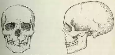 chapter-II-plate4b